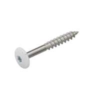 Afbeelding voor categorie HPL-plaatschroeven