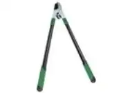 Afbeelding voor categorie Takkenscharen